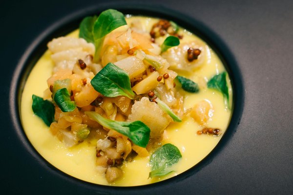 Mastering the Art of Introducing a New Dog to a Feisty Cat: Tips for a Peaceful Transition