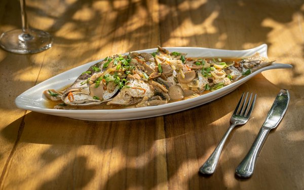 Is It Possible to Add a Heated Steering Wheel to Your 2015 Audi A6?